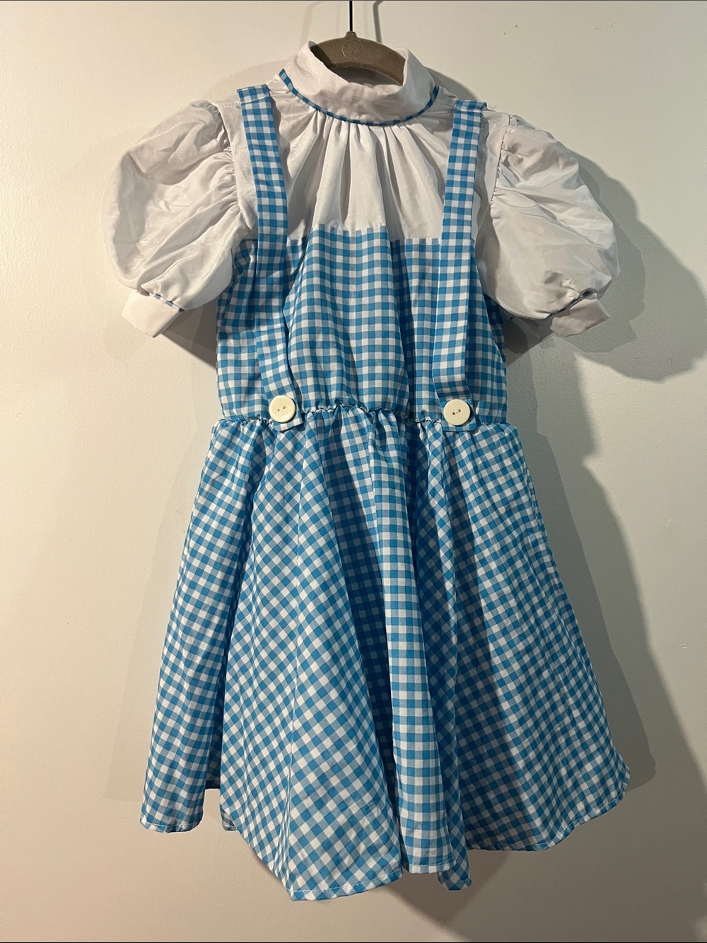 Wizard of Oz Dorothy Costume Child Size Small